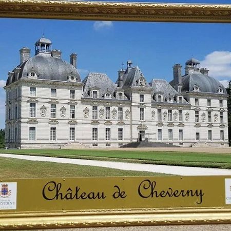 Les Capucines Proche Beauval & Chateaux Saint-Aignan  Zewnętrze zdjęcie