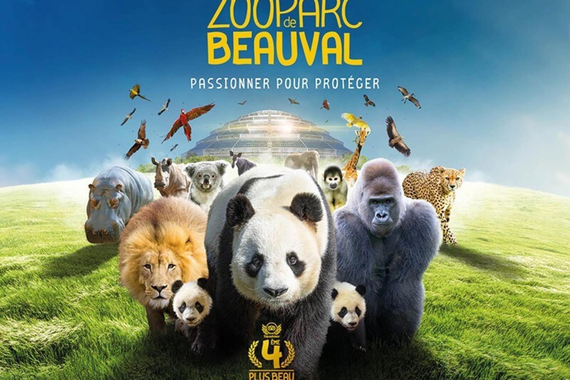 Les Capucines Proche Beauval & Chateaux Saint-Aignan  Zewnętrze zdjęcie